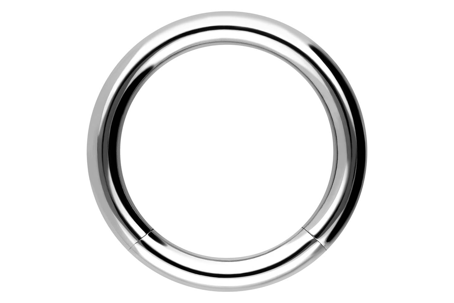 Chirurgenstahl Segmentring von Piercingline